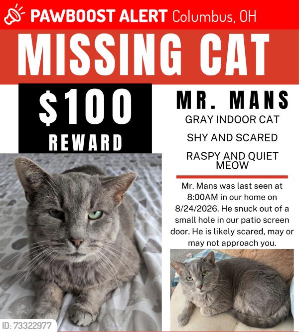 Lost Male Cat last seen Norton And Georgesville Rd, Columbus, OH 43123