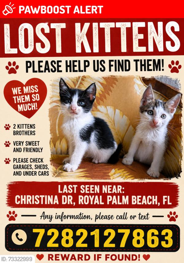 Lost Female Cat last seen Near, Royal Palm Beach, FL 33414