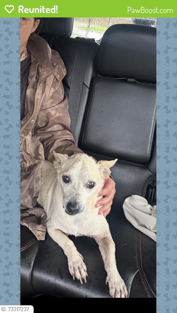 Reunited Male Dog last seen Twisted Leaf and Daisy Creek, Houston, TX 77433