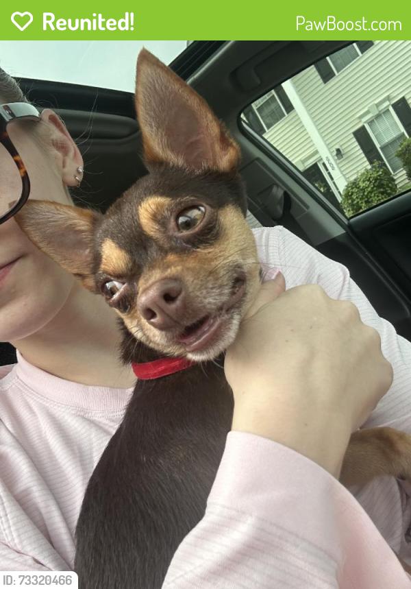Reunited Male Dog last seen Near Neuse Lawn Rd, Raleigh, NC 27616, USA, Raleigh, NC 27616