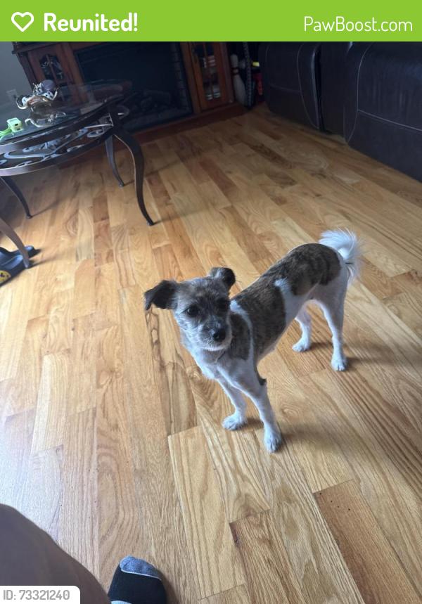 Reunited Female Dog last seen Near Franklin blvd, somerset nj 08873, Franklin Township, NJ 08873