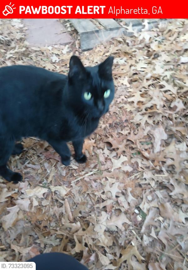 Lost Female Cat last seen Windward Pkwy and Hwy 9, Alpharetta, GA 30004