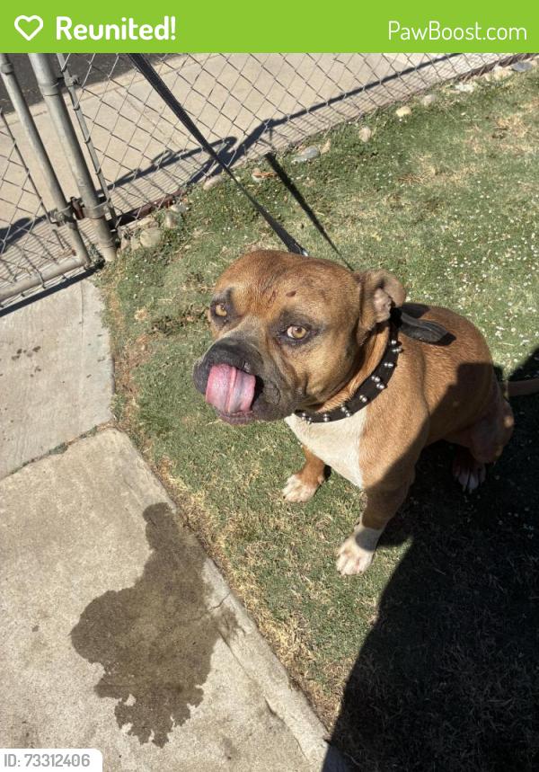 Reunited Male Dog last seen CA108 & Crane Rd, Oakdale, CA 95361