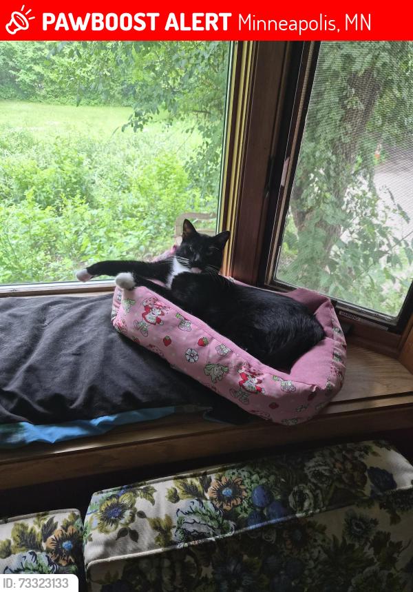 Lost Male Cat last seen West river and 73rd ave, Minneapolis, MN 55444