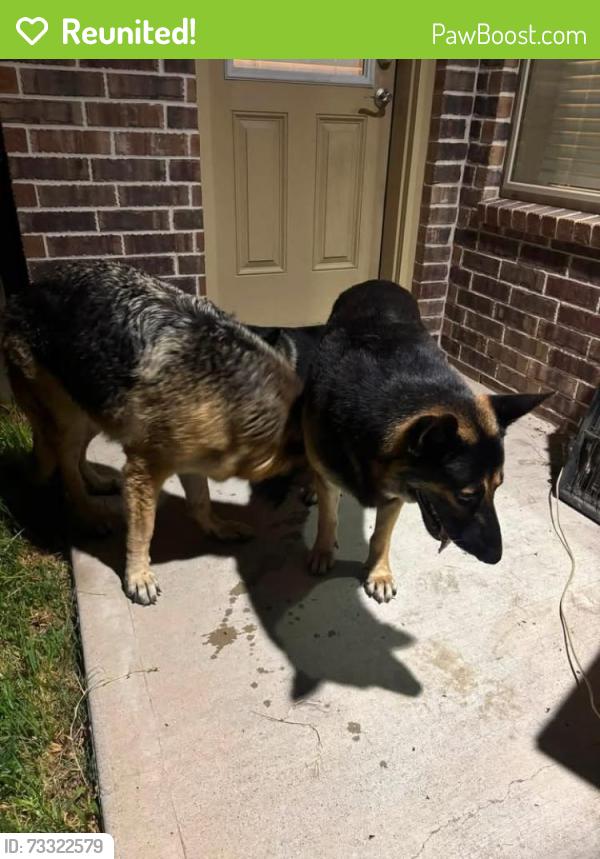 Reunited Unknown Dog last seen Nothpointe / 249, Harris County, TX 77377