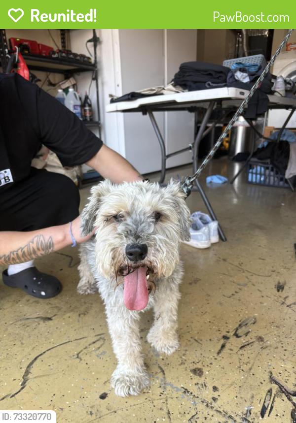Reunited Unknown Dog last seen Chapman/Central, Placentia, CA 92870