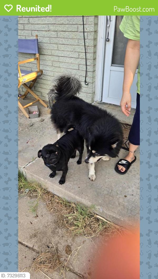 Reunited Male Dog last seen 41st and garnett north of 41st, Tulsa, OK 74146