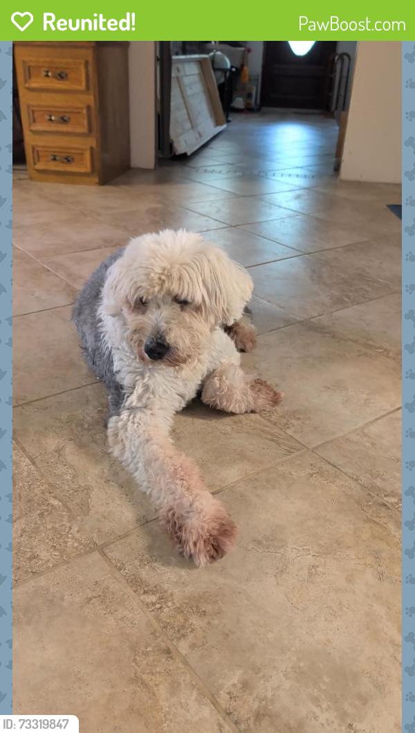 Reunited Female Dog last seen Near and 3180, Baytown, TX 77523