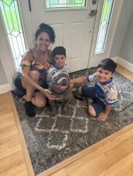 Reunited Male Dog last seen Main Street, Acushnet ma, Acushnet, MA 02743