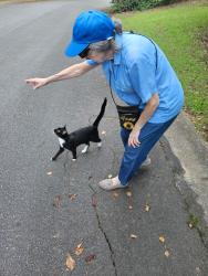 Found/Stray Unknown Cat last seen Cul-de-sac off Twin Pines, Macon, GA 31211