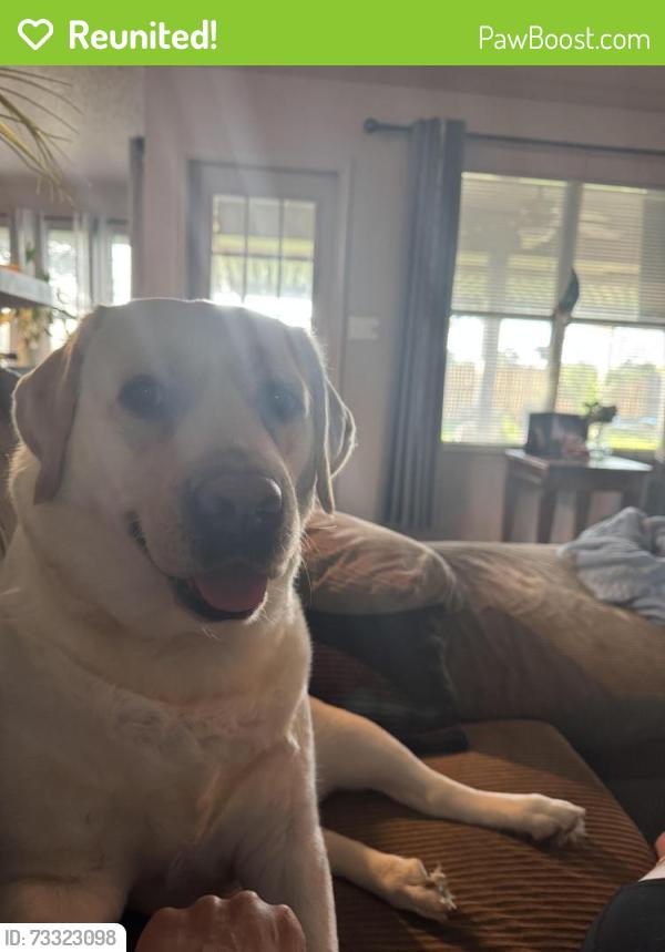 Reunited Female Dog last seen Sunnybrook Dr and Gruene Rd, New Braunfels, TX 78130