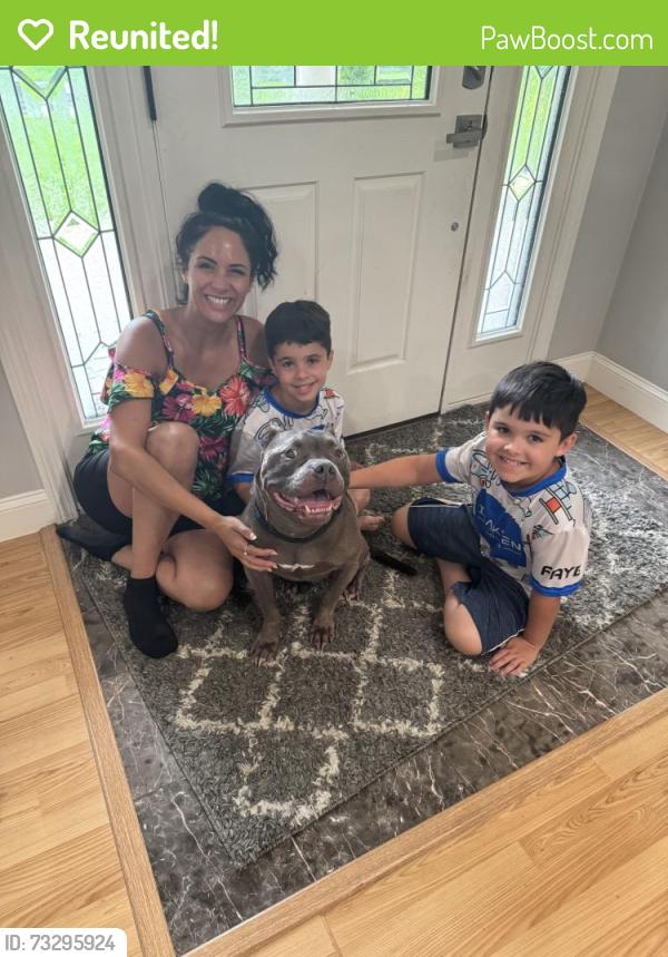 Reunited Male Dog last seen Main Street, Acushnet ma, Acushnet, MA 02743