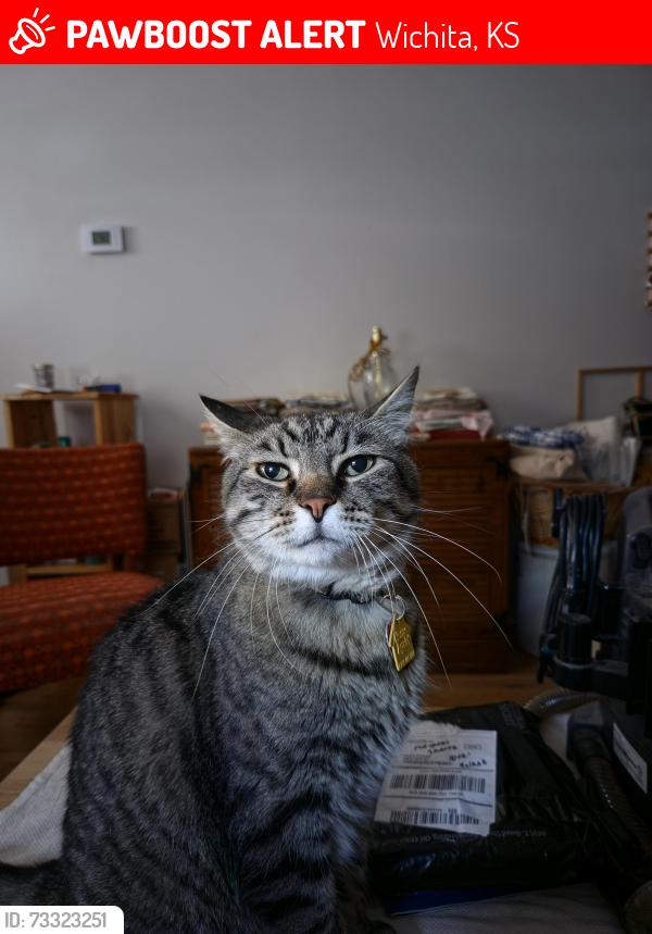 Lost Male Cat last seen S Kansas ave+English street (Douglas+Hydraulic), Wichita, KS 67211