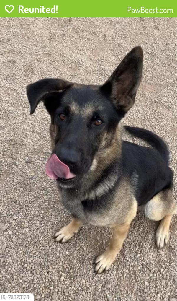 Reunited Male Dog last seen West Griffith, Hudson, IA 50643