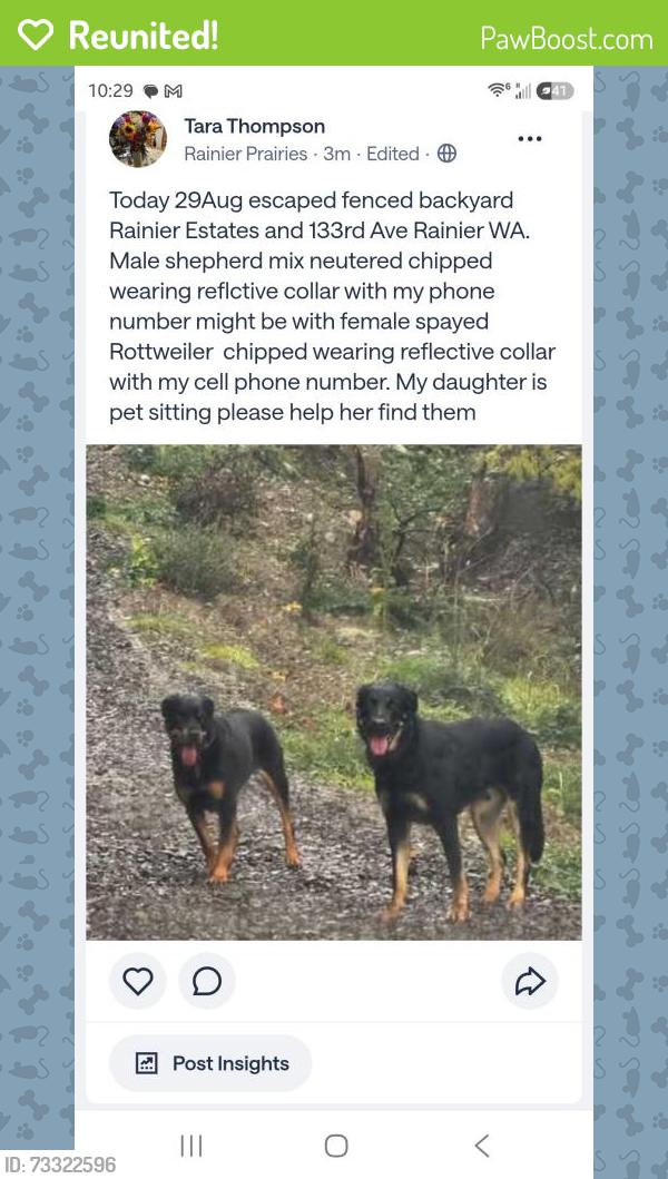Reunited Unknown Dog last seen 133rd Ave, Rainier, WA 98576