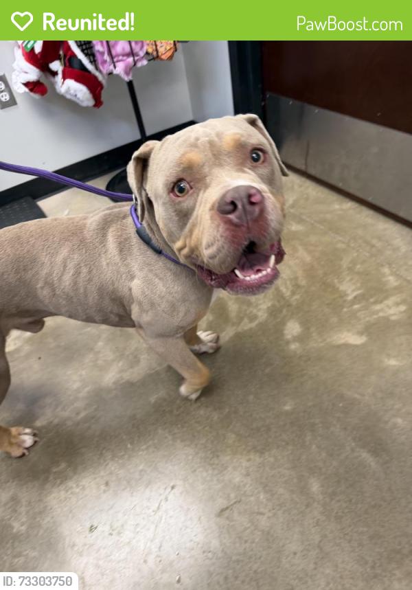 Reunited Male Dog last seen Near N College, Warr Acres, OK 73122