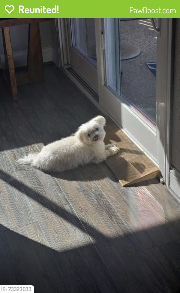 Reunited Male Dog last seen Sharon dr, Corinth, TX 76210