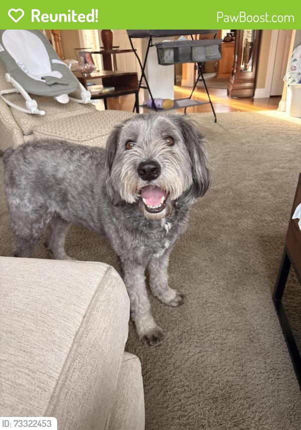 Reunited Male Dog last seen Carey and 161, Noblesville, IN 46062