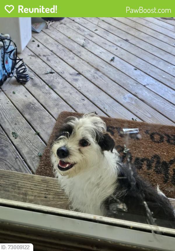 Reunited Unknown Dog last seen Veterans Pkwy, Clayton, NC, USA, Clayton, NC 27520
