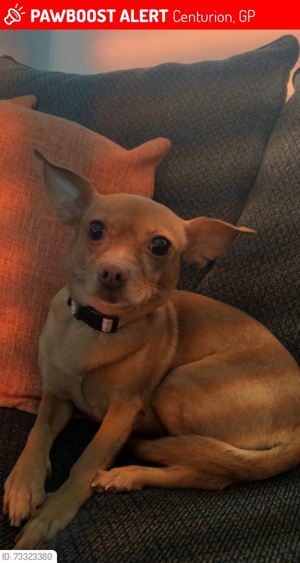 Lost Female Dog last seen Moonstone st, kcid st, Caldwell, ID 83605