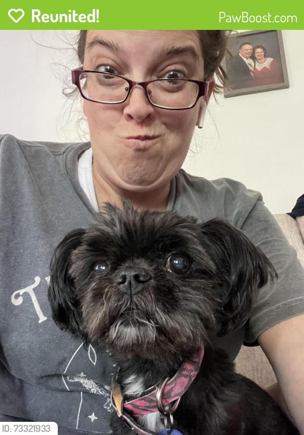 Reunited Female Dog last seen Barr Ave and critter st, Pittsburgh, PA 15205