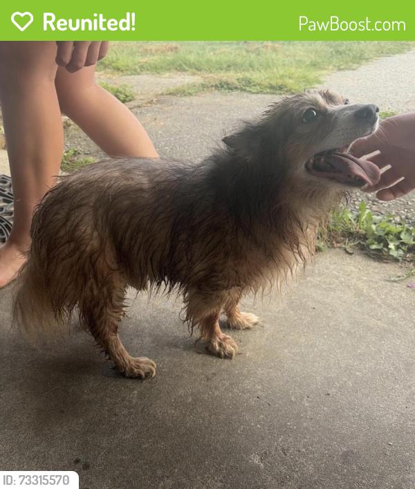 Reunited Male Dog last seen Huff Rd and Allendale Dr, Archdale, NC 27263