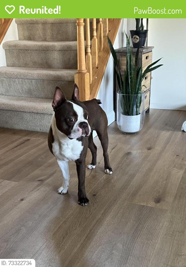 Reunited Male Dog last seen Anthony Ct. & General Hancock Blvd., North Wales, PA, Montgomeryville, PA 19454