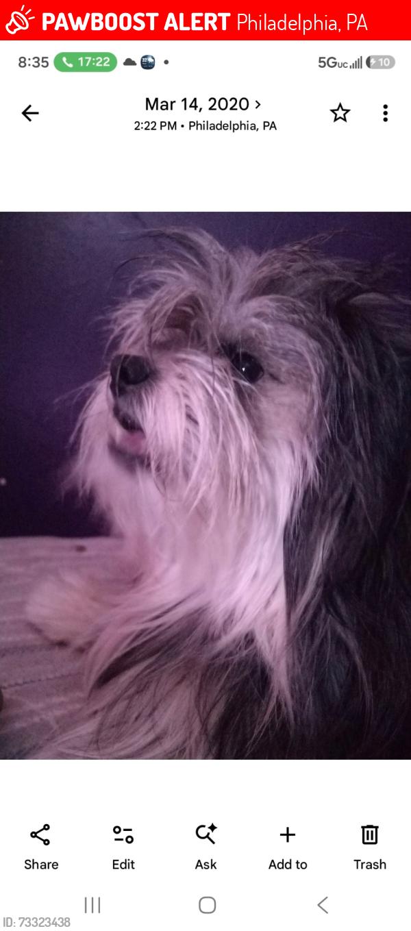 Lost Male Dog last seen N 17th w cumberland st, Philadelphia, PA 19132