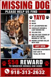 Reunited Male Dog last seen Out north at Bradford apmts, Tulsa, OK 74103
