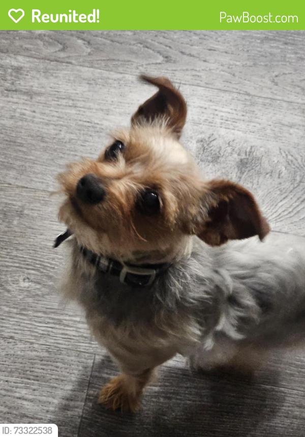 Reunited Male Dog last seen Near W 3rd Ave, Denver, CO 80219