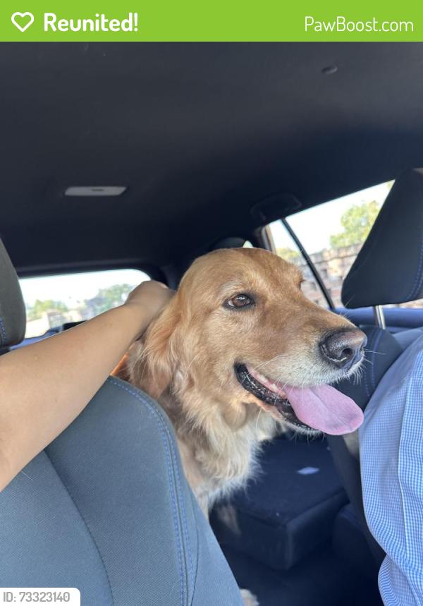 Reunited Female Dog last seen Col. Rowe & Fern, McAllen, TX 78501