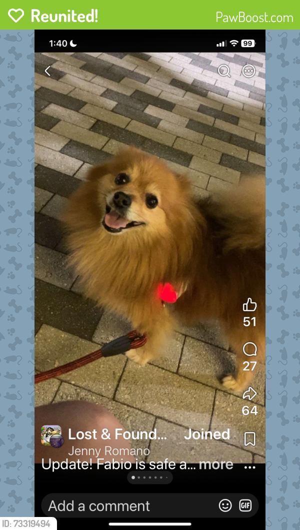 Reunited Male Dog last seen Kuykendahl amd dowdell, Tomball, TX 77375