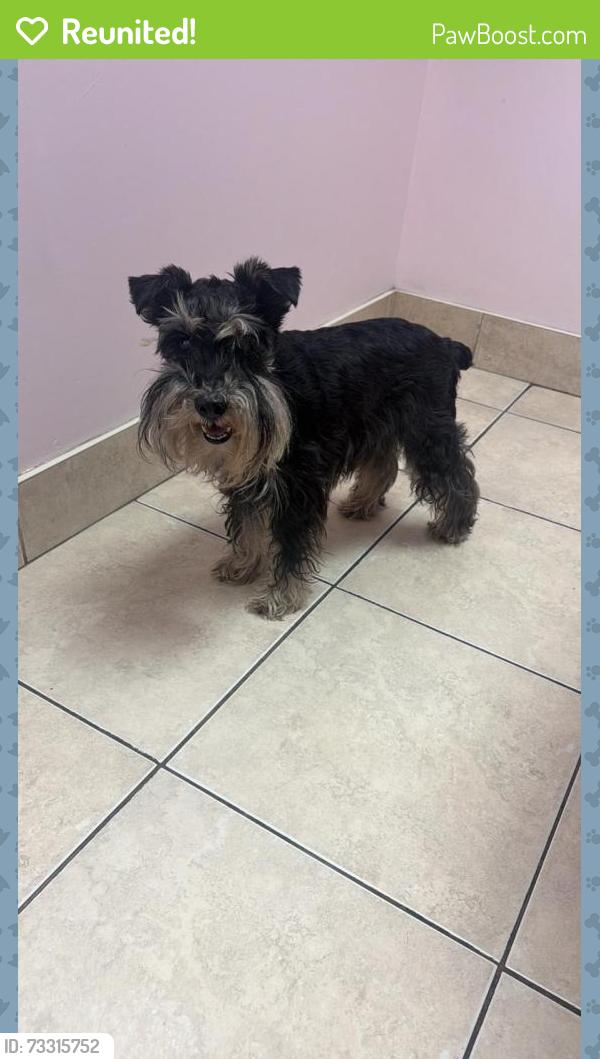 Reunited Female Dog last seen Streetsville, Mississauga, ON L5M 6C7