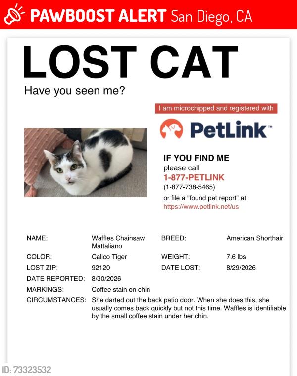 Lost Female Cat last seen Oakridge rd, San Diego, CA 92120