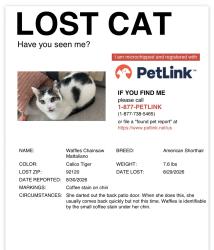 Lost Female Cat last seen Oakridge rd, San Diego, CA 92120