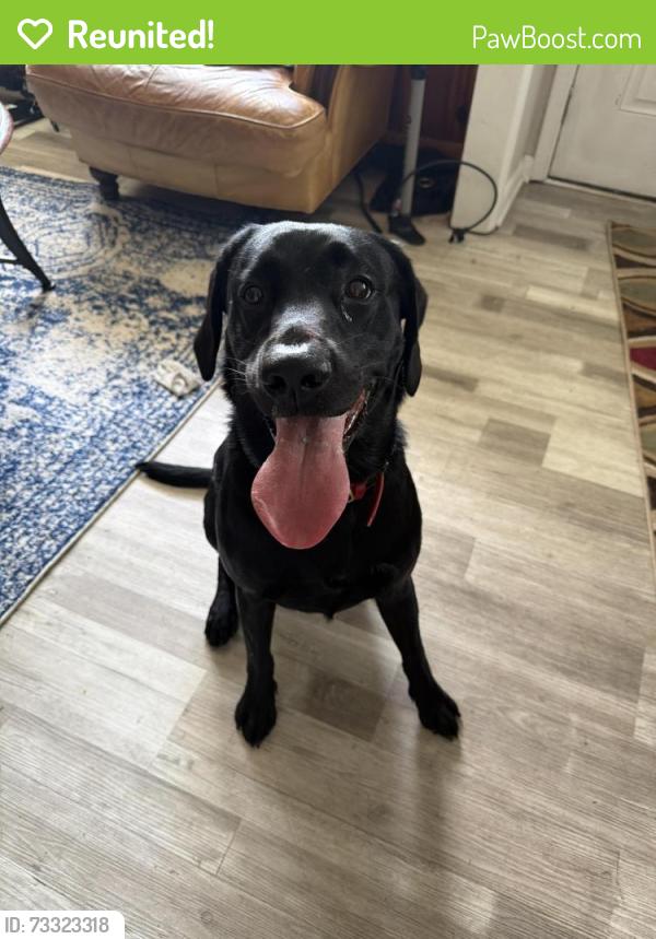 Reunited Male Dog last seen Eastwood Community Church, Wilmington, NC 28403