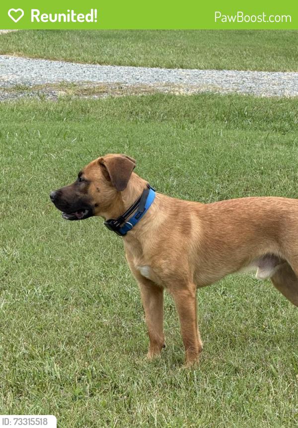 Reunited Male Dog last seen Guess Rd and Charlie Monk Rd, Person County, NC 27541