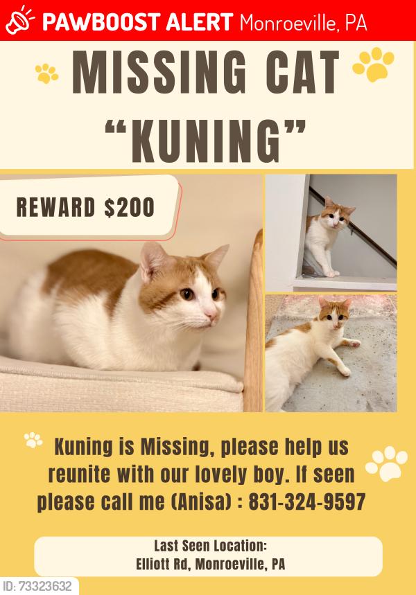 Lost Male Cat last seen Elliott rd monroeville, Monroeville, PA 15146