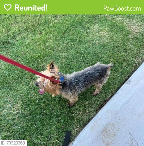 Reunited Unknown Dog last seen Near Three Woods Ln., Yukon, OK 73099, USA, Yukon, OK 73099