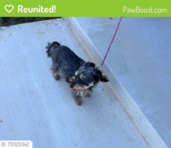 Reunited Unknown Dog last seen Near Three Woods Ln., Yukon, OK 73099, USA, Yukon, OK 73099