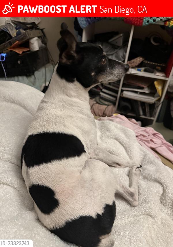 Lost Male Dog last seen Del sol Lane, San Diego, CA 92154