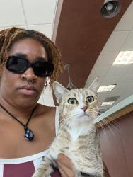 Found/Stray Female Cat last seen Eastern Carolina Veterinary Hospial, Wilmington, NC 28403