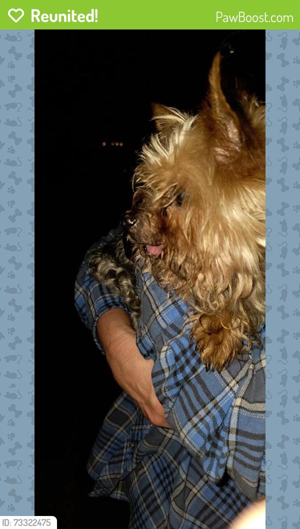 Reunited Unknown Dog last seen Westview Lane, Weaverville, NC 28787