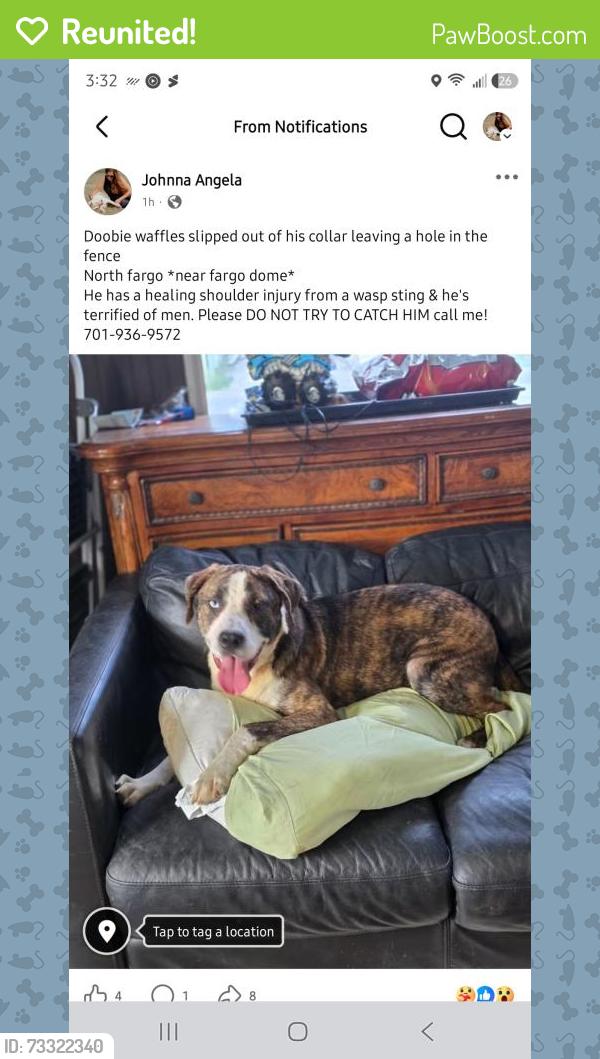 Reunited Male Dog last seen Near monte Carlo drive, Trollwood, ND 58102