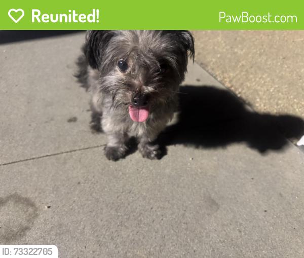 Reunited Unknown Dog last seen Florence St, Imperial Beach, CA 91932, USA, Imperial Beach, CA 91932