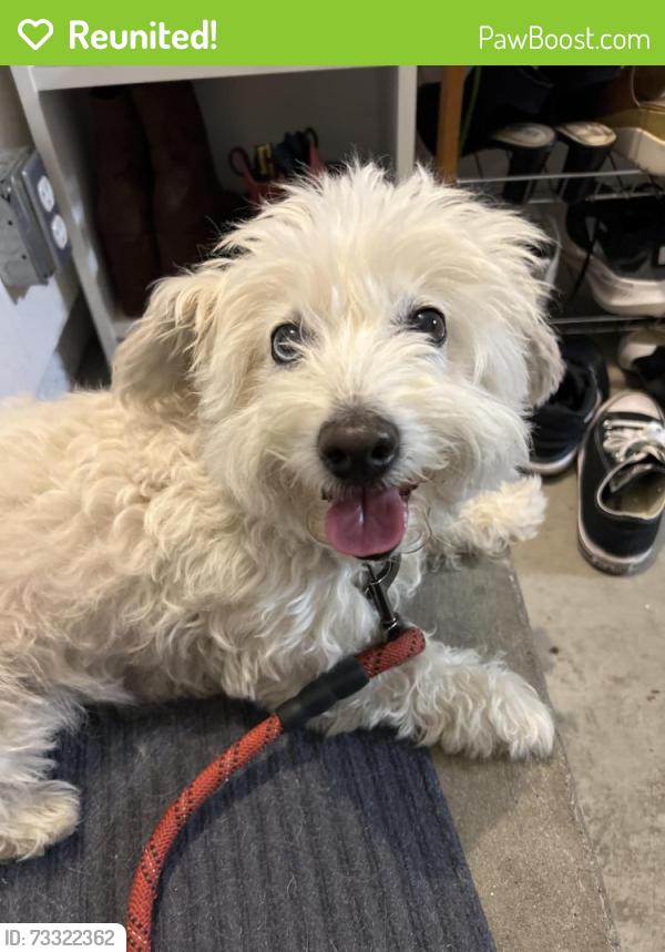 Reunited Unknown Dog last seen Murillo and Springbrook Ave, San Jose, CA 95148