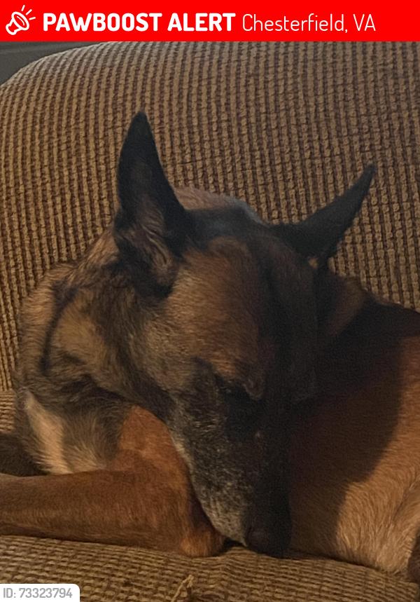 Lost Female Dog last seen Newbys Bridge Road, Buttermere Court, Chesterfield, VA 23832