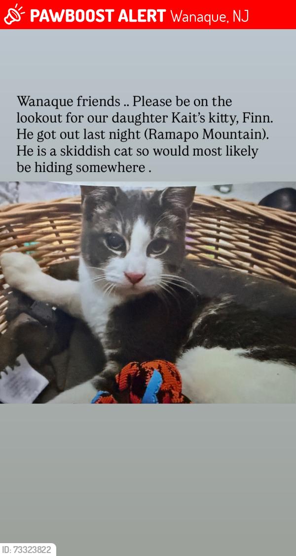 Lost Male Cat last seen Conklintown road, Wanaque, NJ 07465