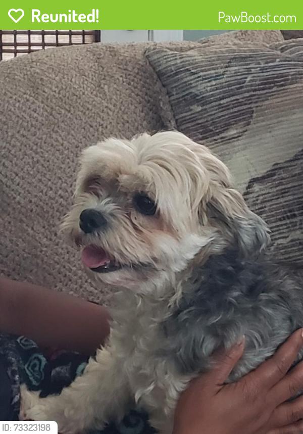 Reunited Female Dog last seen Pelican Point neighborhood, Ascension Parish, LA 70737