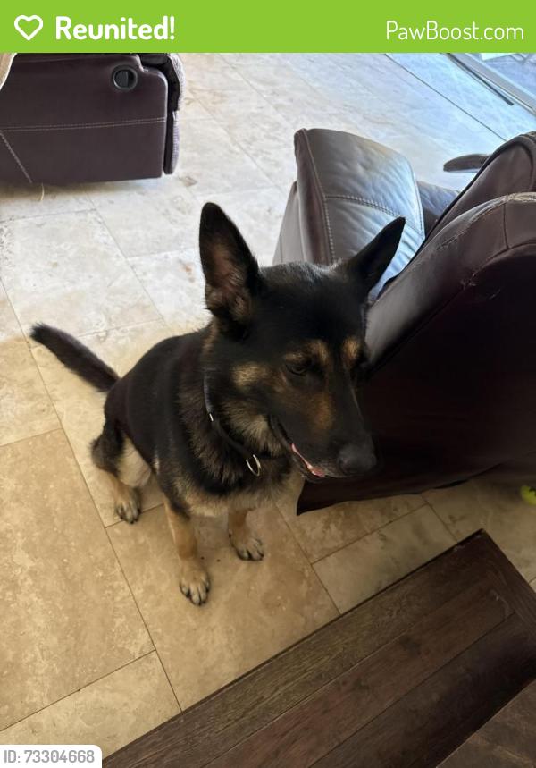Reunited Male Dog last seen Cerritos library, Cerritos, CA 90703